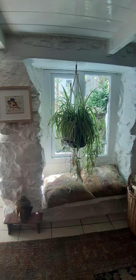 Cozy Carbence Cottage Carbis Bay 외부 사진